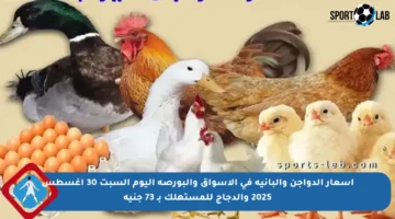 أسعار الدواجن والبانيه في الأسواق والبورصة اليوم السبت 30 أغسطس 2025 والدجاج للمستهلك بـ 73 جنيه